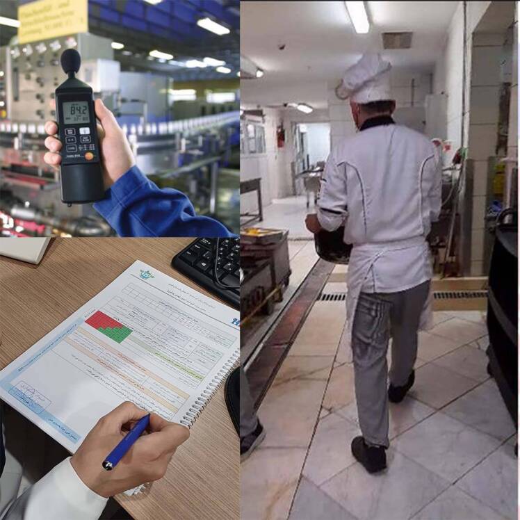بررسی عوامل زیان آور در هتل پارسیان اوین